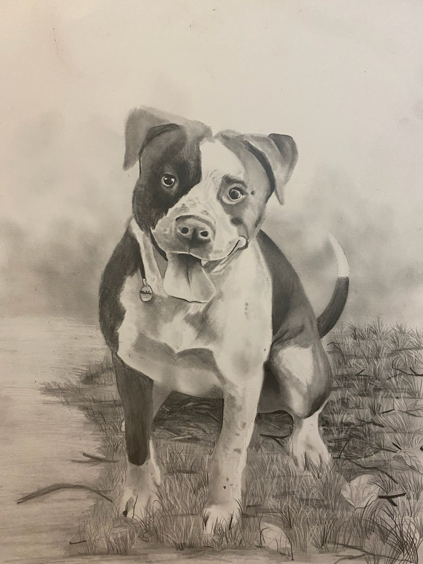 Man's best friend