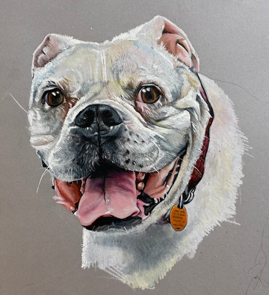 Dog portrait 1