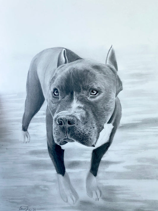 Dog portrait 2